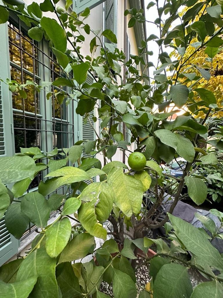Della Rocca Urban Relais Apartamento Turim Exterior foto